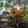 DSCF7058.jpg