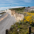 DSCF8332.jpg