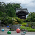 DSCF8411.jpg