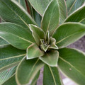DSCF8430.jpg
