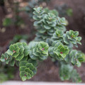 DSCF8432.jpg