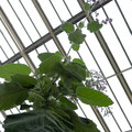 DSCF8448.jpg
