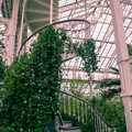 DSCF8454.jpg