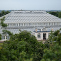 DSCF8733.jpg