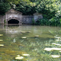 DSCF8788.jpg