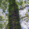 DSCF8815-HDR.jpg