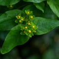 DSCF8820.jpg