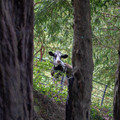 DSCF8879-Edit.jpg