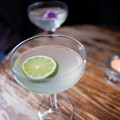 DSCF9073.jpg