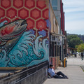 DSCF5147.jpg
