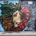 DSCF5160.jpg