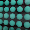 FXH14481.jpg