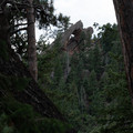 DSCF5214.jpg