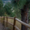DSCF5403.jpg