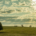 DSCF5422.jpg