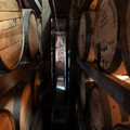 DSCF5503.jpg