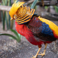 DSCF9079.jpg
