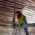 DSCF9126.jpg