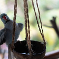 DSCF9132.jpg