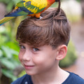 DSCF9188.jpg