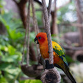 DSCF9223.jpg