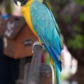 DSCF9259.jpg