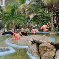 IMG_20191221_112032.jpg